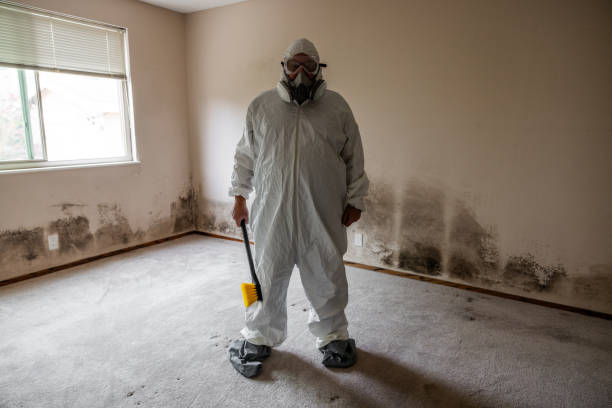 Best Industrial Mold Remediation in Morehead City, NC